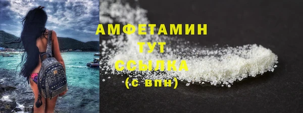 mdpv Бородино