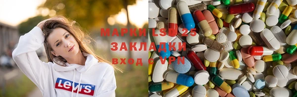 mdpv Бородино