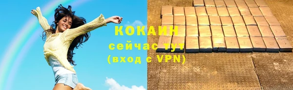 mdpv Бородино