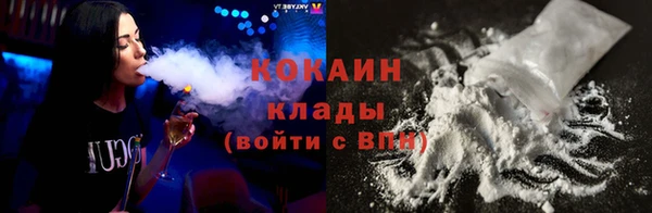 mdpv Бородино