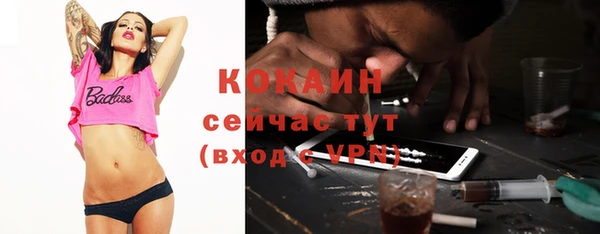 mdpv Бородино