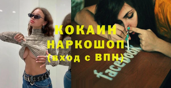 mdpv Бородино